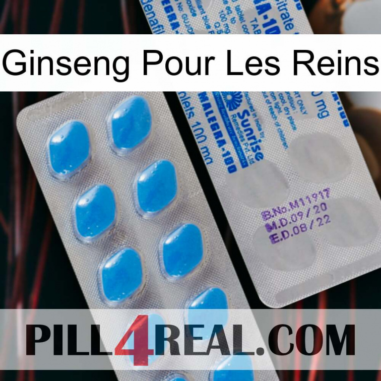 Ginseng For Kidney new15